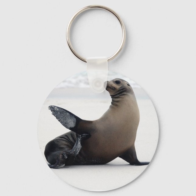 Sealion Keychain (Front)