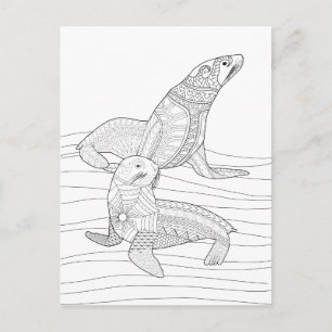 Seals Adult Coloring Postcard