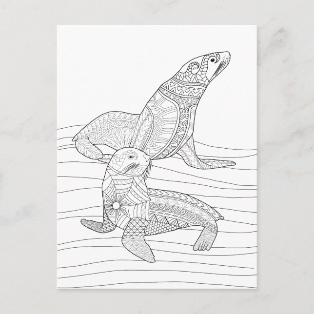 Seals Adult Coloring Postcard (Front)