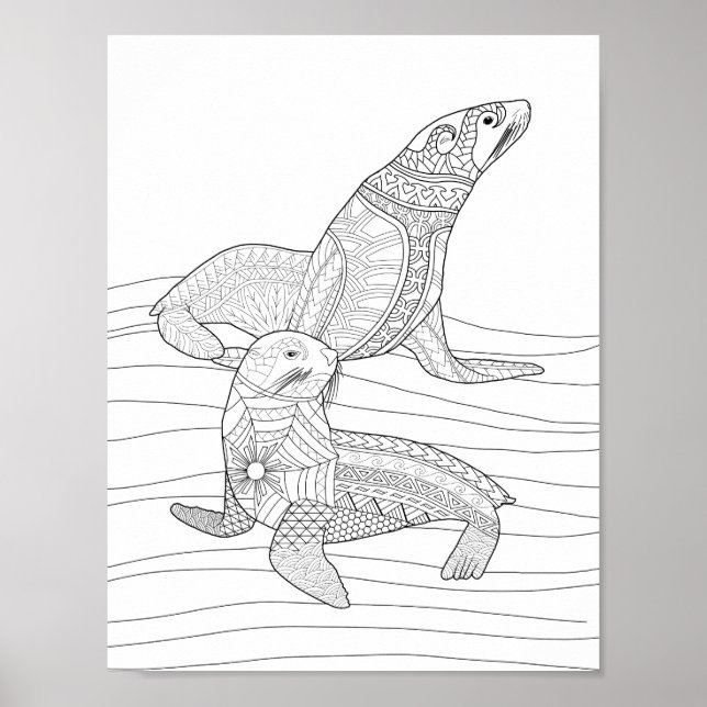 Seals Adult Coloring Poster (Front)