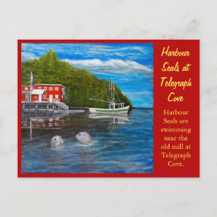 Seals at Telegraph Cove, BC Canada. Postcard