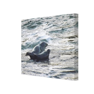 Sea Wrapped Canvas Prints | Zazzle