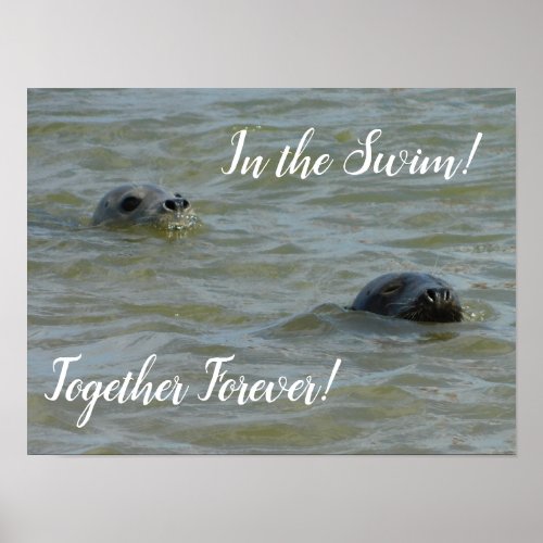 Seals In the Swim Poster