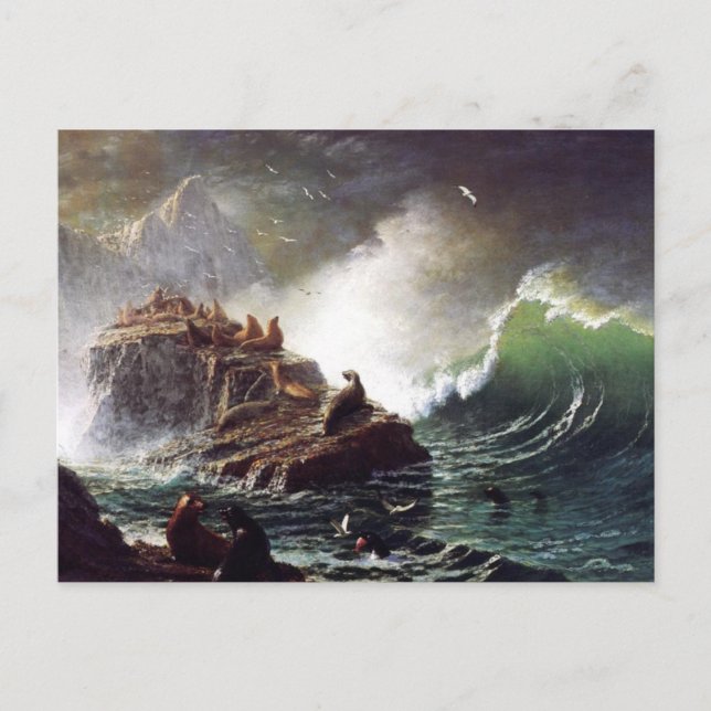 Seals on the Rocks, Farallon Islands - Bierstadt Postcard (Front)