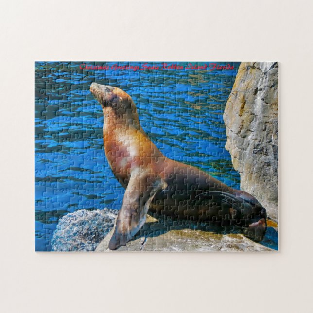 Seals Robben Island Florida. Christmas Greetings Jigsaw Puzzle (Horizontal)