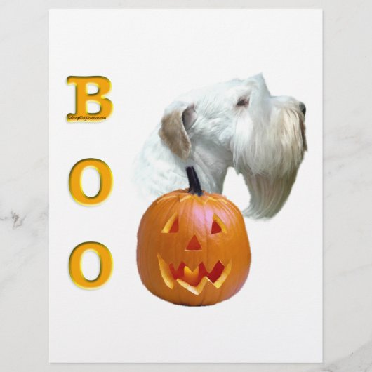 Sealyham Terrier Boo (Front)