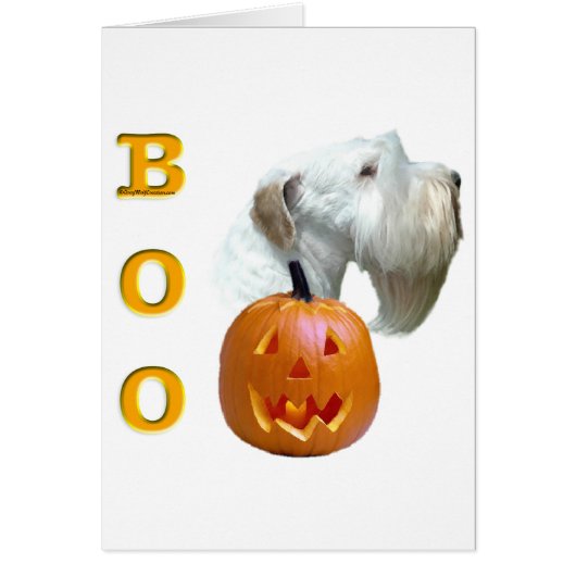 Sealyham Terrier Boo Cards (Front)