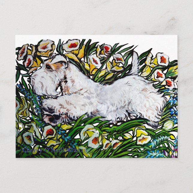 Sealyham Terrier Daffodils Postcard (Front)