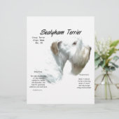Sealyham Terrier History (Standing Front)