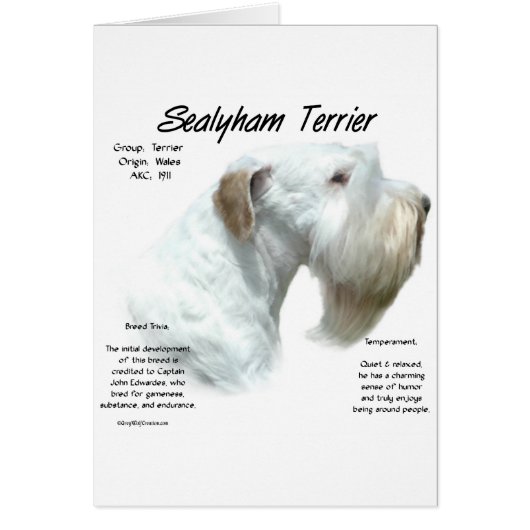 Sealyham Terrier History Design (Front)