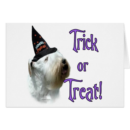 Sealyham Terrier Trick (Front Horizontal)
