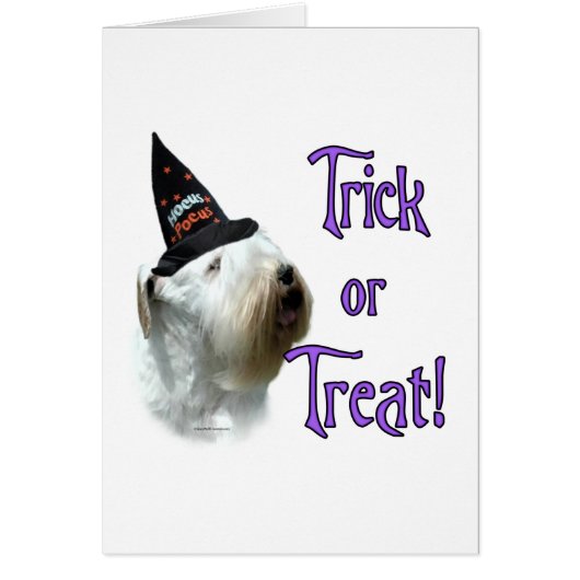 Sealyham Terrier Trick Cards (Front)