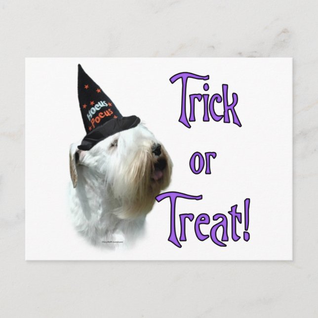 Sealyham Terrier Trick Postcard (Front)