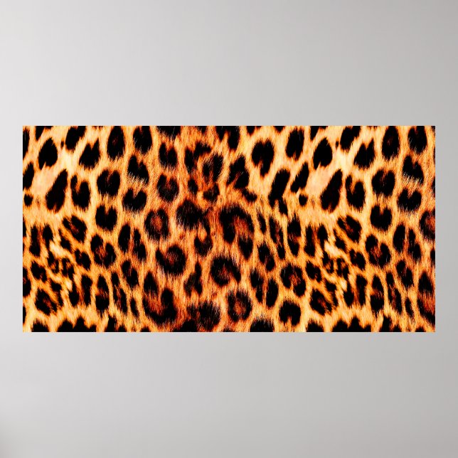 Seamless leopard texture, leopard fur, african ani poster (Front)