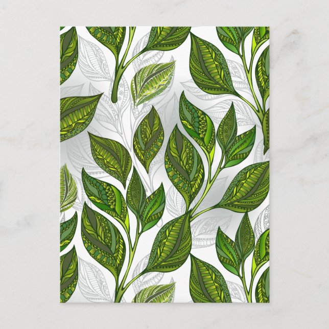 Seamless Pattern with Green Tea Leaves Holiday Postcard (Front)