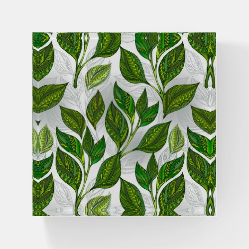 Seamless Pattern with Green Tea Leaves Paperweight