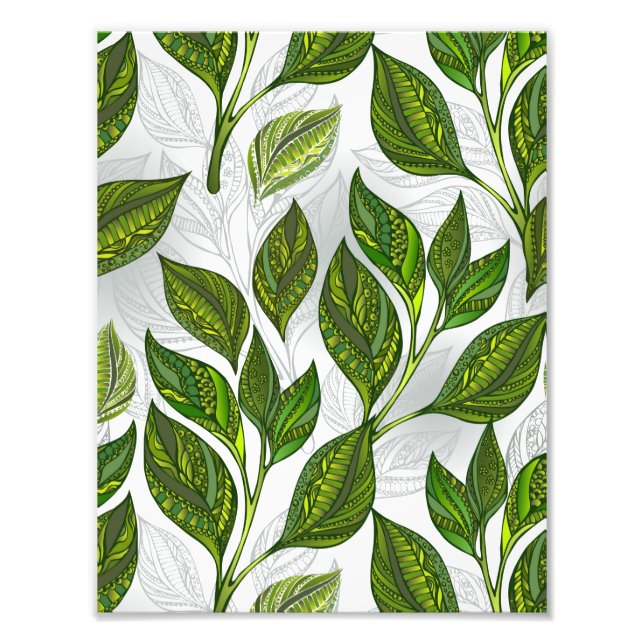 Seamless Pattern with Green Tea Leaves Photo Print (Front)