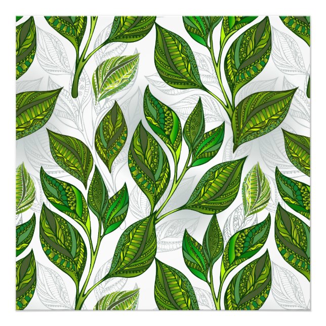 Seamless Pattern with Green Tea Leaves Photo Print (Front)
