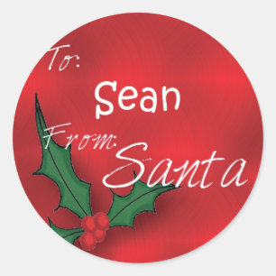 Sean Personalized Holly Label110 Classic Round Sticker
