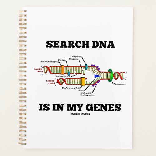 Search DNA Is In My Genes DNA Replication Planner