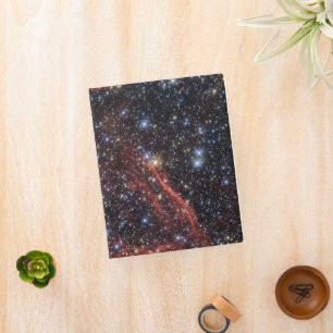 Search For Stellar Survivor Of Supernova Explosion Mini Binder
