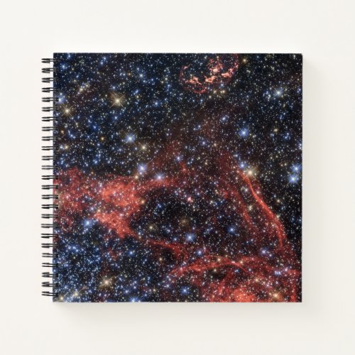 Search For Stellar Survivor Of Supernova Explosion Notebook