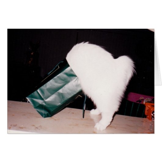 Searching (Front Horizontal)