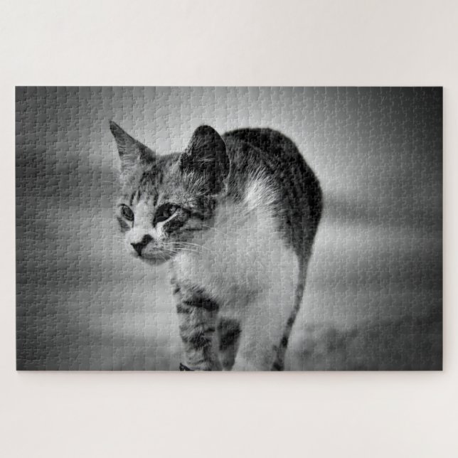 searching cat puzzle (Horizontal)