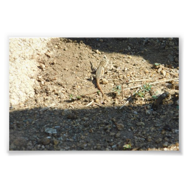 Searching For Dream Time Photo Print (Front)