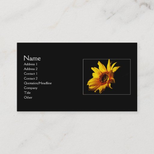 Customizable Searching for Light Business Cards