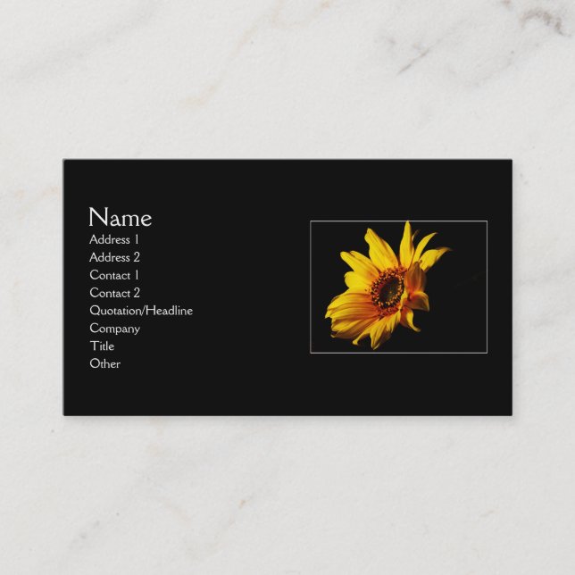 Searching for Light Business Card (Front)