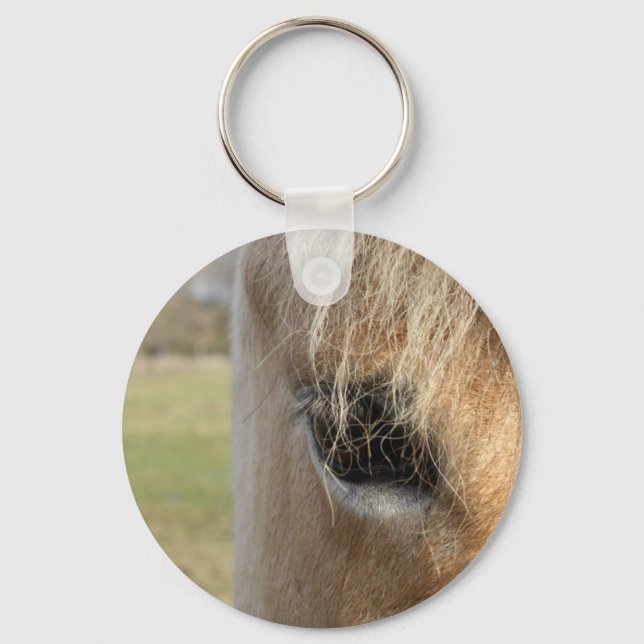 Searching Keychain (Front)