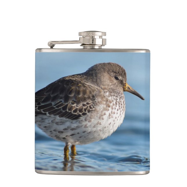 Searching Rock Sandpiper Flask (Front)