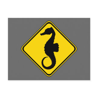 Searhorse Crossing ! Postcard