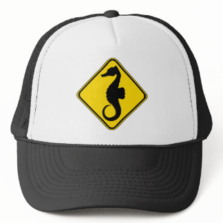 Searhorse Crossing ! Trucker Hat