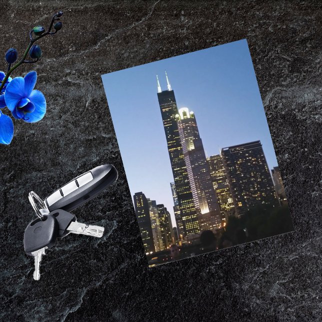 Sears Tower on Chicago Architecture River Cruise Postcard (Creator Uploaded)