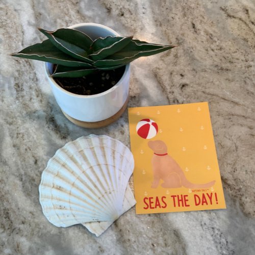 Seas the Day Golden Retriever Yellow Postcard