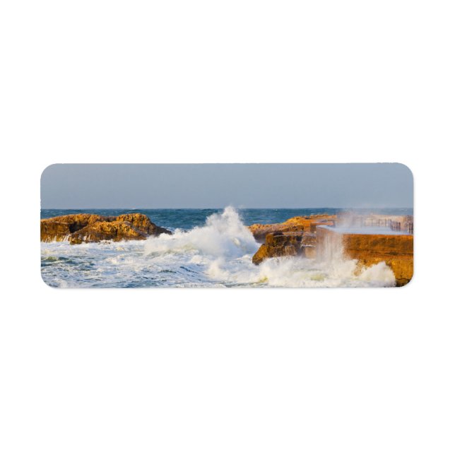 Seascape Label (Front)