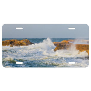 Seascape License Plate