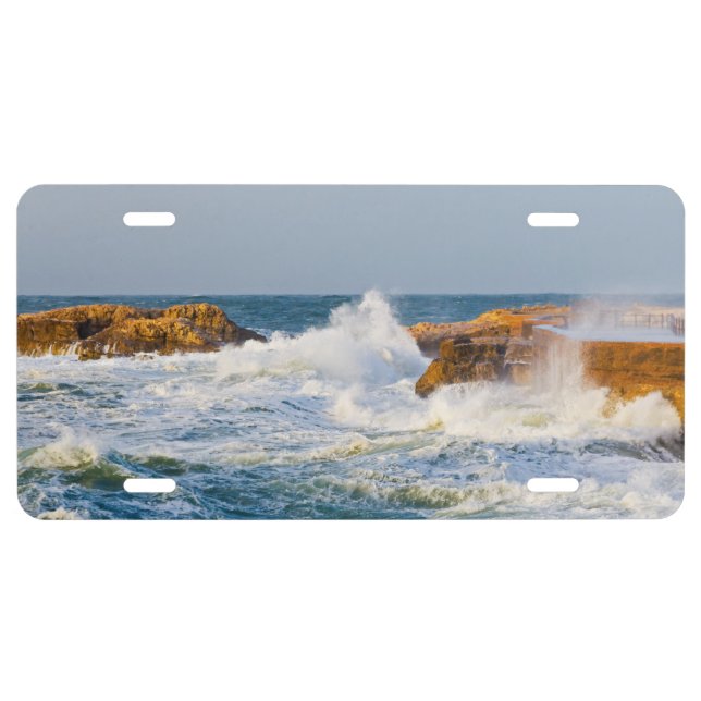 Seascape License Plate (Front)