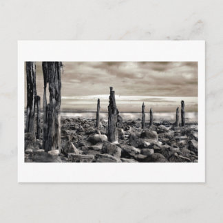 Seascape - Morning Moorings Postcard