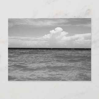 Seascape Postcard