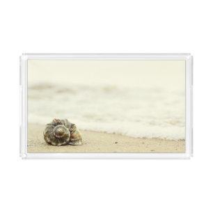 Seashell Alone On Beach Acrylic Tray