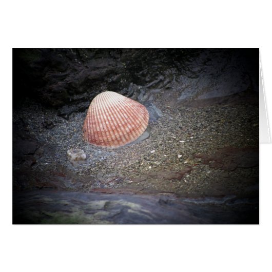 Seashell and Sand Cards (Front Horizontal)