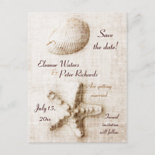seashell and starfish vintage beach wedding announcement postcard