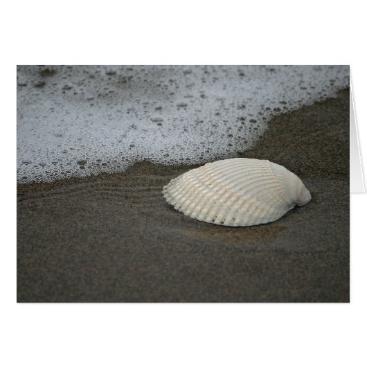 Seashell and Surf Cards (Front Horizontal)