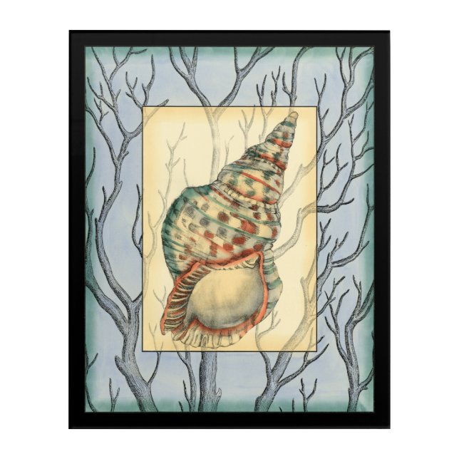 Seashell and Tree Branches Acrylic Print (Front)