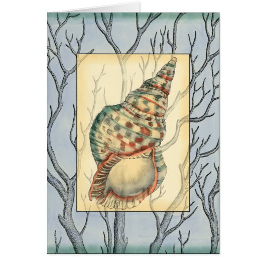 Seashell and Tree Branches Cards (Front)