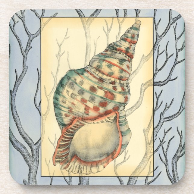 Seashell and Tree Branches Drink Coaster (Front)