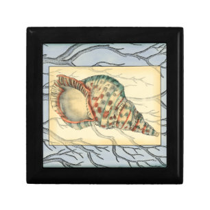 Seashell and Tree Branches Jewelry Box